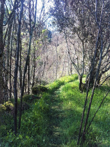 trail03