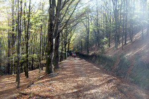 trail03