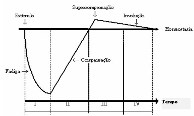 Como obter um corpo perfeito (foto)