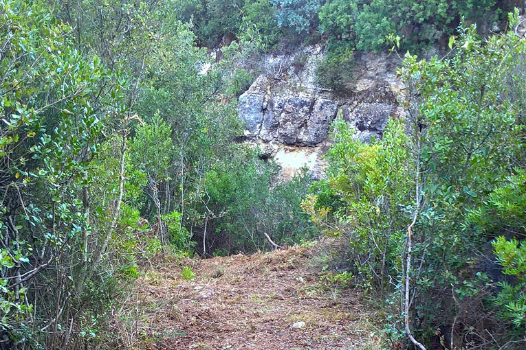 miratejo-2