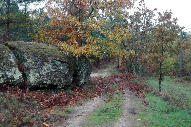 Trail por Terras de Algodres