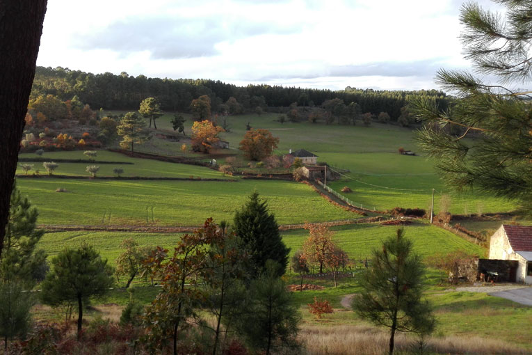 Trail por Terras de Algodres