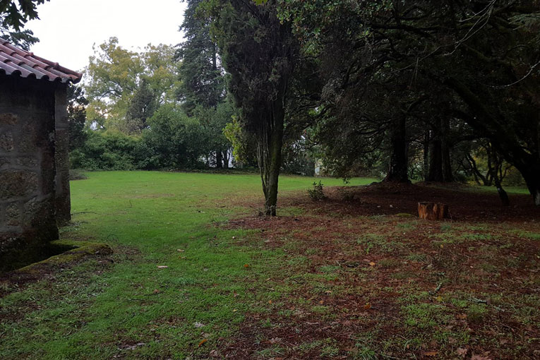 Trail por Terras de Algodres