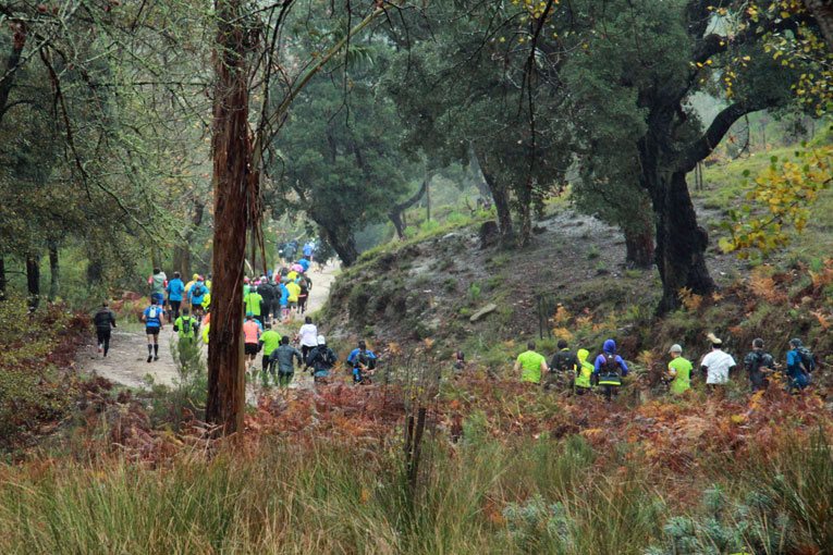 Trail da Tapada Real 2016