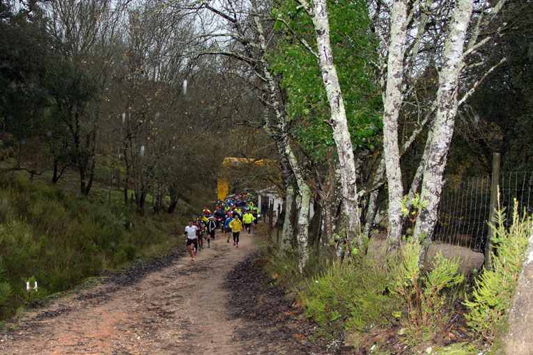 Trail da Tapada Real 2016