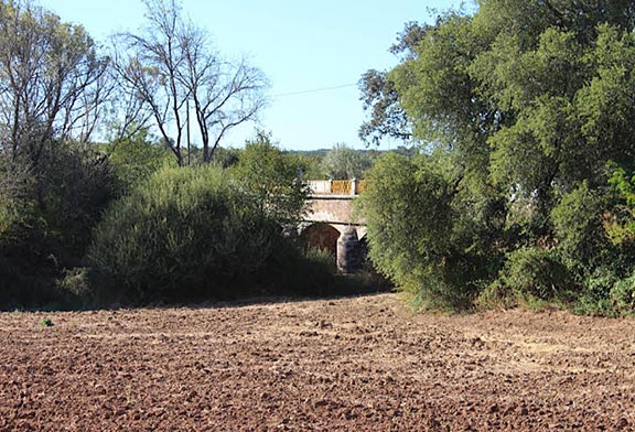 Vitoriano