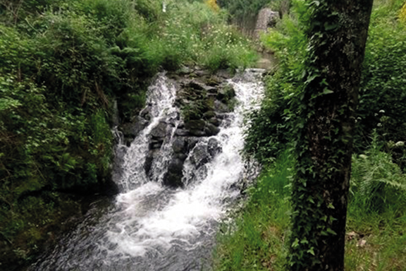 NAC Trail