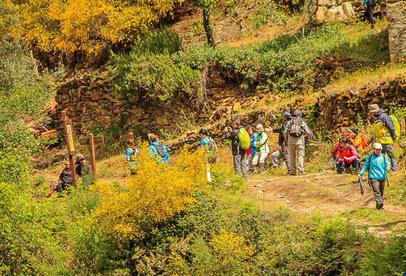 Trail das Fisgas