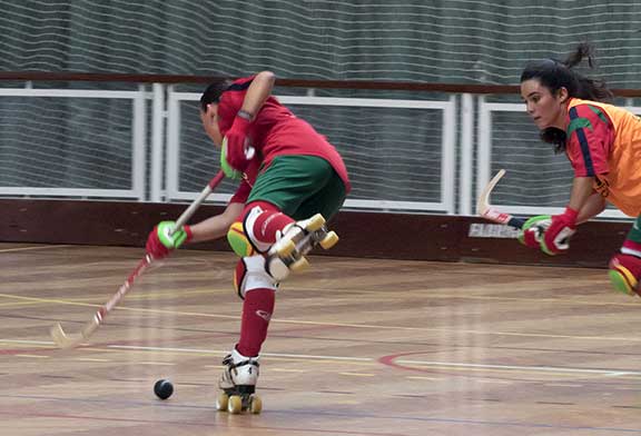 World Roller Games