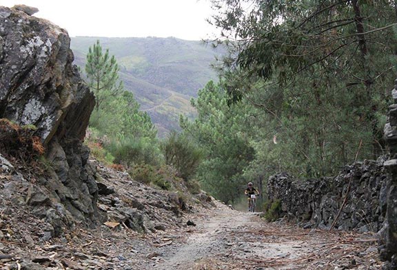 Pedra
