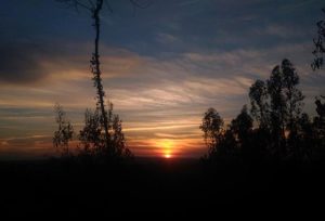 Avelar Sunset Trail