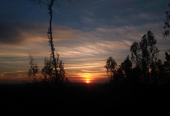 Avelar Sunset Trail
