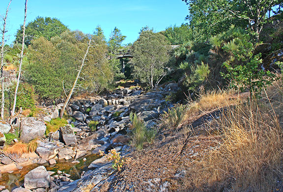 Trail Rota Truta
