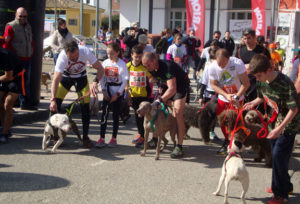 Mushing