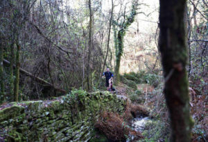 Santa Iria