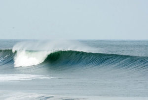 Liga Surf