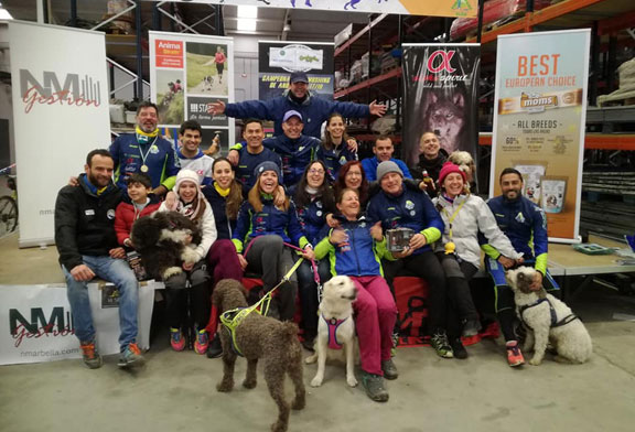 cães de trenó