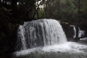 NAC Trail
