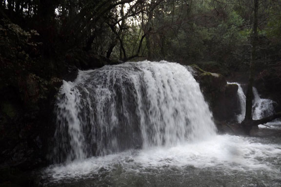 NAC Trail