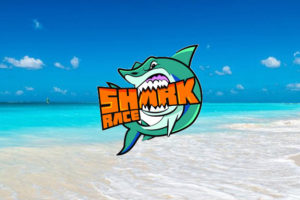 SharkRace