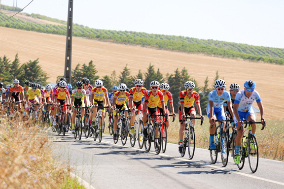 Portugal de Juniores