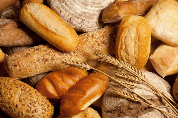 Alimento