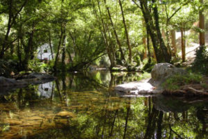 Figueiró Trail