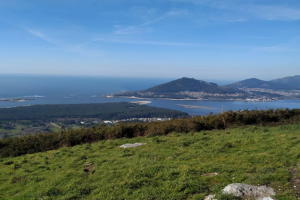 caminha