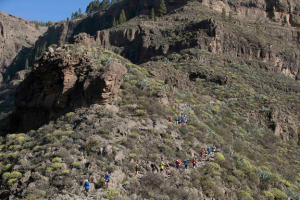 Transgrancanaria