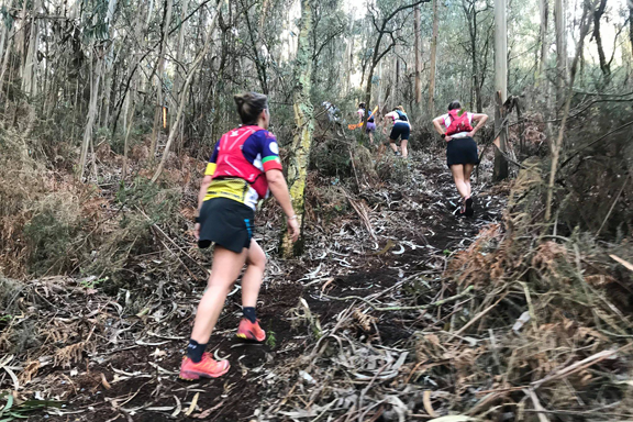 Trail de Alvelos