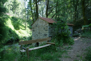 Trail Rota Moinhos