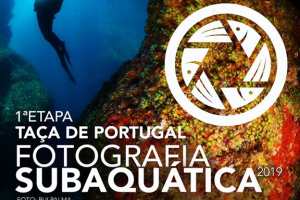 Clube Naval de Sesimbra