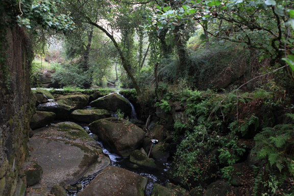 Trail do Abade