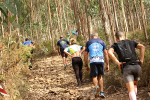 Trail do Monte Meda