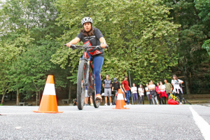 bicicletas