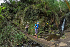 Trail