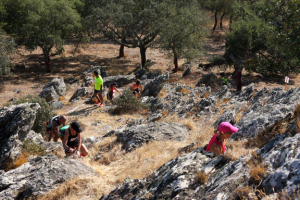 Trail Serra