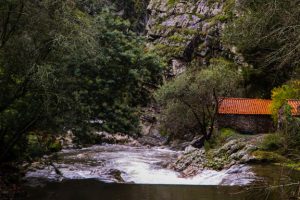 Senhora do Salto