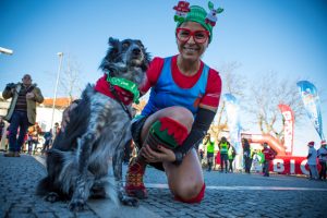 Xmas Trail