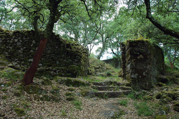 Trail de Alvelos