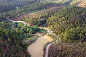 Trail Anadia