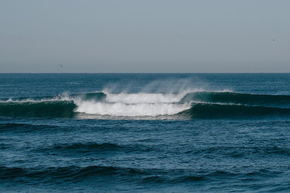 Liga MEO Surf