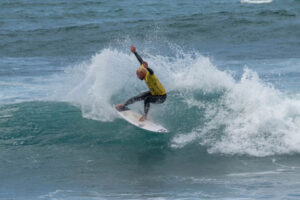 vasco ribeiro