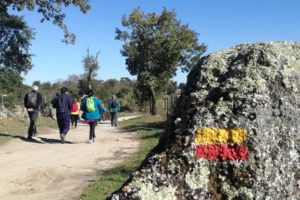 TransAlentejo