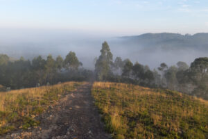 desafio
