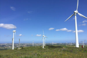 Linhas de Torres