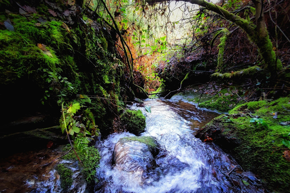 Trepa Trail