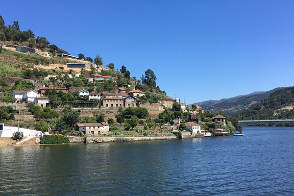 Meia Maratona Douro Verde