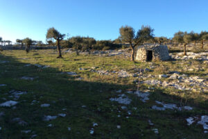 Alcanena Trail
