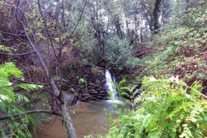 Trail Anadia Capital do Espumante